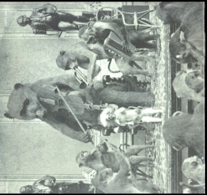 Sand Snowman - A Doll's Eyes in the group VINYL / Pop-Rock at Bengans Skivbutik AB (3929789)