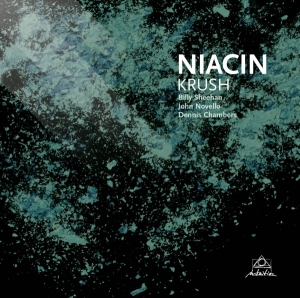 Niacin - Krush in the group CD / Pop-Rock at Bengans Skivbutik AB (3931652)