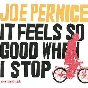 Joe Pernice - It Feels So Good When I Stop in the group VINYL / Pop-Rock,Övrigt at Bengans Skivbutik AB (3935799)