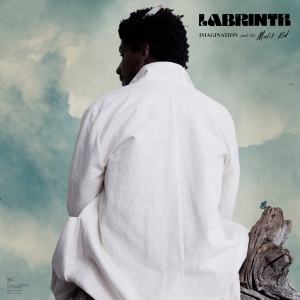 Labrinth - Imagination & The Misfit Kid in the group OTHER / Övrigt / at Bengans Skivbutik AB (3942683)