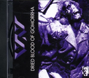 Voulzy Laurent - Belle Ile En Mer 1977/1988 in the group CD / Pop-Rock at Bengans Skivbutik AB (3951669)