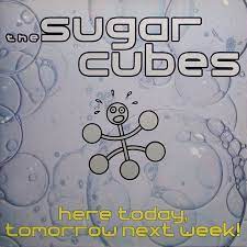 Sugarcubes - Here Today, Tomorrow Next Week! in the group VINYL / Pop-Rock,Övrigt at Bengans Skivbutik AB (3951734)