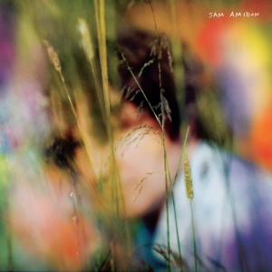 Sam Amidon - Sam Amidon(Ltd.2Lp Rainbow) in the group OTHER / Övrigt / at Bengans Skivbutik AB (3962237)