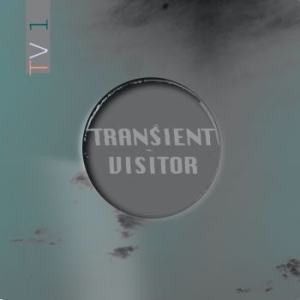 Transient Visitor - Tv1 in the group VINYL / Rock at Bengans Skivbutik AB (3965462)