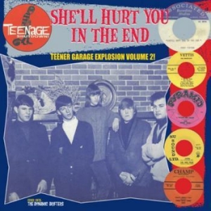 Various Artists - Teenage Shut Down -She'll Hurt You in the group VINYL / Pop-Rock at Bengans Skivbutik AB (3977703)