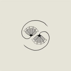 Godspeed You! Black Emperor - G_D's Pee At State's End! (Lp+10'') in the group Minishops / Godspeed You at Bengans Skivbutik AB (3981820)