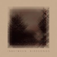 Gusset Matthias - Inbetween Birdsongs in the group CD / Elektroniskt,World Music at Bengans Skivbutik AB (3988729)