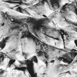 Tietchens Asmus/Miki Yui - Neues Boot in the group OTHER / Övrigt / at Bengans Skivbutik AB (3994359)