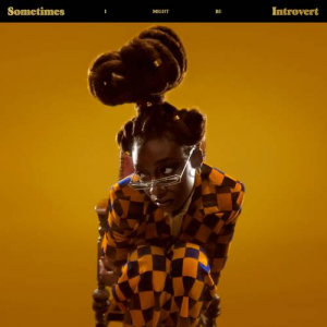 Little Simz - Sometimes I Might Be Introvert (Clear Vi in the group VINYL / Hip Hop-Rap,Pop-Rock,RnB-Soul at Bengans Skivbutik AB (3997813)