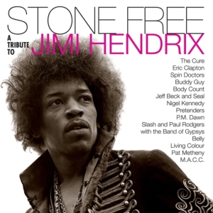Various artists - Stone free-Tribute to Jimi Hendrix (Black & Clear Vinyl) Rocktober in the group OUR PICKS / Rocktober at Bengans Skivbutik AB (4004878)
