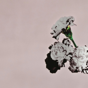 Legend John - Love In The Future (Special Edition) in the group OTHER / Övrigt / at Bengans Skivbutik AB (4005256)