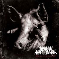 ANAAL NATHRAKH - ENDARKENMENT in the group OUR PICKS / Christmas gift tip CD at Bengans Skivbutik AB (4013676)