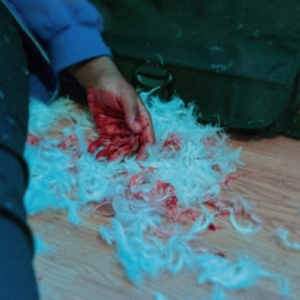 Kaonashi - Dear Lemon House, You Ruined Me: Se in the group CD / Hårdrock at Bengans Skivbutik AB (4044197)