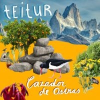 Teitur - Cazador De Ostras in the group VINYL / Dansk Musik,Pop-Rock at Bengans Skivbutik AB (4044553)