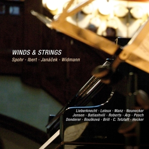 Spohr - Winds & Strings in the group CD / Klassiskt,Övrigt at Bengans Skivbutik AB (4046242)