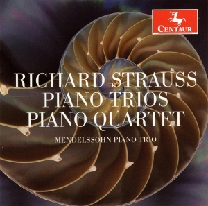 Mendelssohn Piano Trio - Richard Strauss in the group CD / Klassiskt,Övrigt at Bengans Skivbutik AB (4047945)