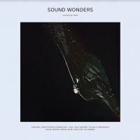 Various Artists - Sound Wonders in the group VINYL / Pop-Rock at Bengans Skivbutik AB (4056791)