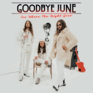 Goodbye June - See Where The Night Goes (Black Vin in the group VINYL / Hårdrock,Pop-Rock at Bengans Skivbutik AB (4057134)