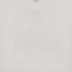 Bon Iver - Bon Iver 10Th Anniversary Edition in the group CD / Pop-Rock at Bengans Skivbutik AB (4060953)