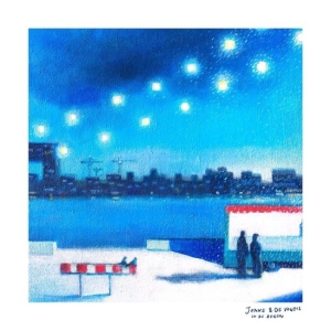 Janne & De Vogels Schra - In De Regen in the group CD / Pop-Rock at Bengans Skivbutik AB (4066709)