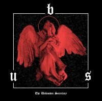 B.U.S - Unknown Secretary in the group VINYL / Hårdrock at Bengans Skivbutik AB (4069040)