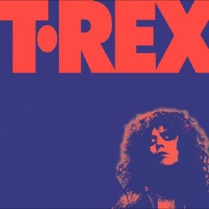 Bolan Marc & T. Rex - Alternative Singles Collection in the group CD / Rock at Bengans Skivbutik AB (4071090)