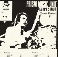 Ragab Salah & The Cairo Jazz Band - Egypt Strut in the group VINYL / Jazz at Bengans Skivbutik AB (4073124)