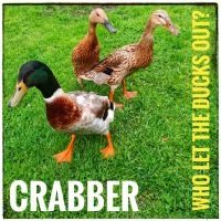 Crabber - Who Let The Ducks Out? in the group CD / Pop-Rock at Bengans Skivbutik AB (4077055)