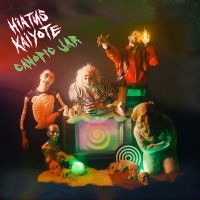 Hiatus Kaiyote - Canopic Jar in the group VINYL / RnB-Soul at Bengans Skivbutik AB (4077434)