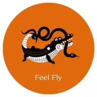 Feel Fly - Cosmo Cosmo in the group VINYL / Dance-Techno at Bengans Skivbutik AB (4101517)