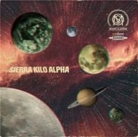 Melbourne Ska Orchestra - One Year Of Ska in the group CD / Reggae at Bengans Skivbutik AB (4110159)