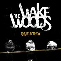 Wake Woods - Treselectrica in the group CD / Pop-Rock at Bengans Skivbutik AB (4112163)