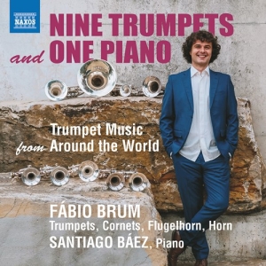 Various - Nine Trumpets And One Piano in the group OUR PICKS / Christmas gift tip CD at Bengans Skivbutik AB (4114327)