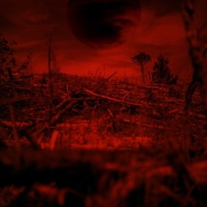 Monnik - Bitteroogst in the group VINYL / Pop at Bengans Skivbutik AB (4117736)