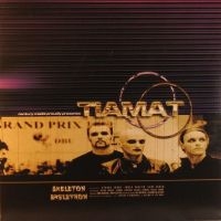 Tiamat - Skeleton Skeletron (Gold Vinyl) in the group VINYL / Hårdrock at Bengans Skivbutik AB (4126923)