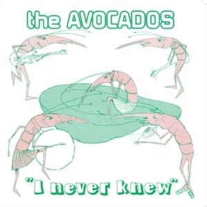 Avocados - I Never Knew in the group VINYL / Pop-Rock at Bengans Skivbutik AB (4143142)