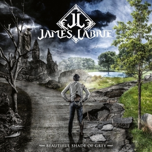 Labrie James - Beautiful Shade Of Grey in the group VINYL / Rock at Bengans Skivbutik AB (4147709)