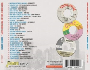 Various Artists - What Kind Of Girl (Do You Think I A in the group CD / Pop-Rock at Bengans Skivbutik AB (4149304)