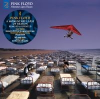 Pink Floyd - A Momentary Lapse Of Reason (2 in the group VINYL / Pop-Rock at Bengans Skivbutik AB (4155681)