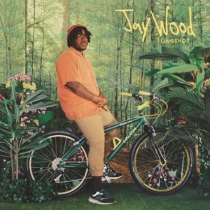 Jaywood - Slingshot (Canary Yellow Vinyl) in the group VINYL / Pop-Rock at Bengans Skivbutik AB (4167471)