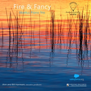 David Lefkowitz Diego Schissi - Fire & Fancy (Vinyl) in the group Externt_Lager /  at Bengans Skivbutik AB (4170769)