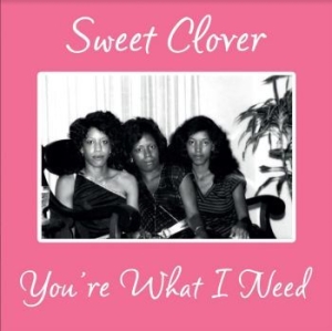 Sweet Clover - You're What I Need in the group VINYL / Pop at Bengans Skivbutik AB (4186166)