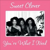 Sweet Clover - You're What I Need in the group VINYL / Pop-Rock at Bengans Skivbutik AB (4186166)