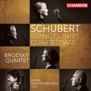 Schubert Franz - String Quintet Quartettsatz in the group OUR PICKS / Christmas gift tip CD at Bengans Skivbutik AB (4187375)