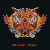 Homm Markus - After Dark in the group VINYL / Pop-Rock at Bengans Skivbutik AB (4198719)