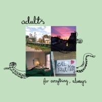 Adults - For Everything, Always in the group VINYL / Pop-Rock at Bengans Skivbutik AB (4200321)