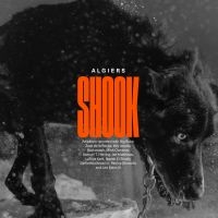 Algiers - Shook in the group VINYL / Pop-Rock at Bengans Skivbutik AB (4201706)