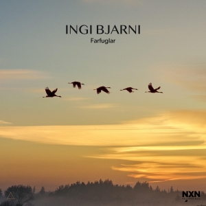 Ingi Bjarni - Farfuglar in the group CD / Jazz at Bengans Skivbutik AB (4205933)