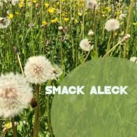 Smack Aleck - Unavoidable in the group CD / Jazz at Bengans Skivbutik AB (4208155)