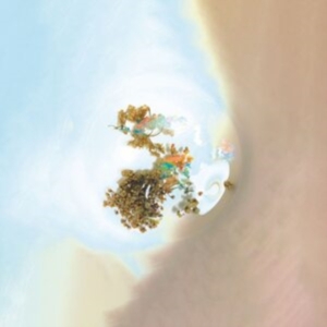 Sam Goku - The Things We See When We Look Clos in the group VINYL / Pop-Rock at Bengans Skivbutik AB (4213966)